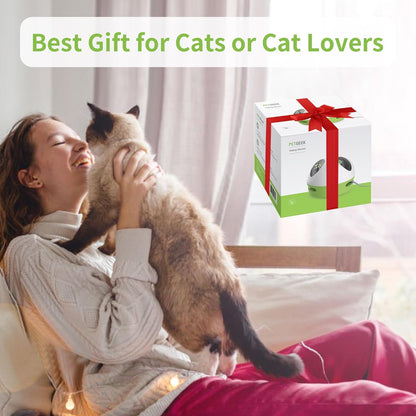 Hidey Mouse Interactive Cat Toy – Electronic Automatic Cat Toy with Squeaky Mouse & Catnip-Filled Hidey Mouse for Indoor Cats (Green)