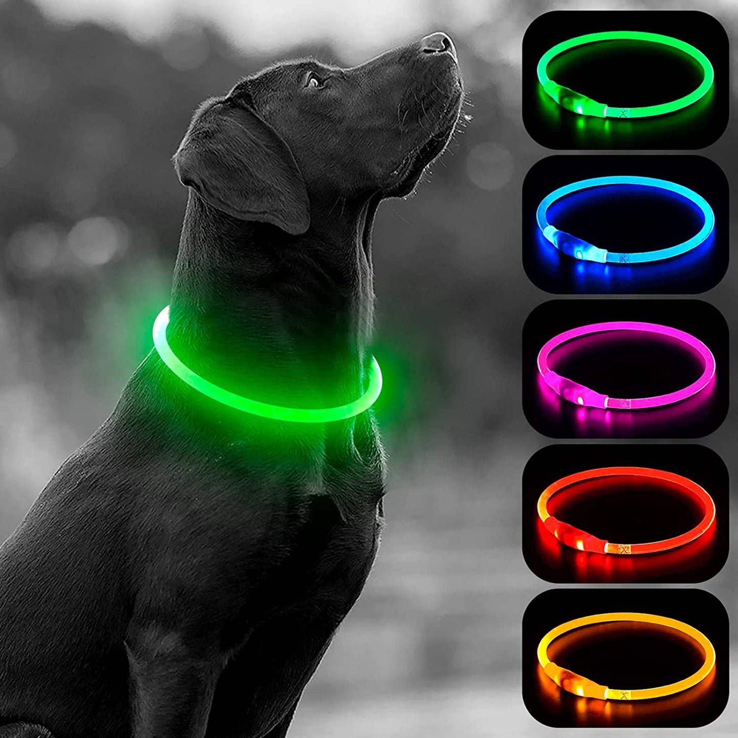 LED Light-Up Dog Collar – USB Rechargeable & Cuttable Glow Collar for Night Safety, High-Visibility TPU Puppy Collar (Green)