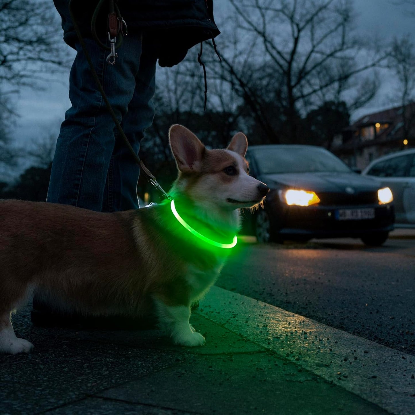 LED Light-Up Dog Collar – USB Rechargeable & Cuttable Glow Collar for Night Safety, High-Visibility TPU Puppy Collar (Green)