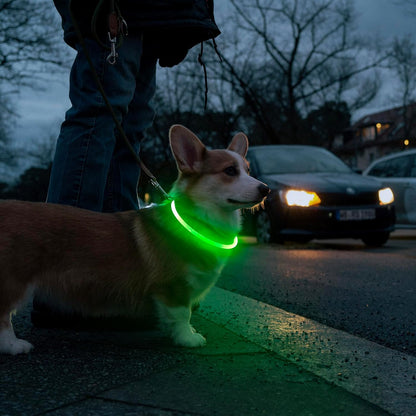 LED Light-Up Dog Collar – USB Rechargeable & Cuttable Glow Collar for Night Safety, High-Visibility TPU Puppy Collar (Green)